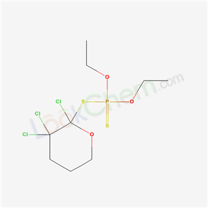 Click to see the large picture