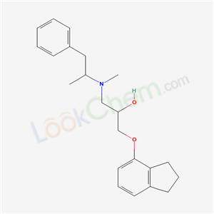 Click to see the large picture