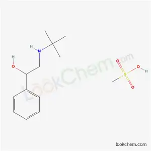 2-t-부틸아미노-1-페닐에탄올 메탄설포네이트