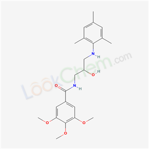 Click to see the large picture