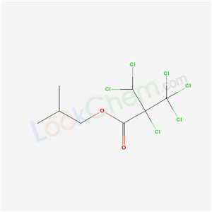 Click to see the large picture