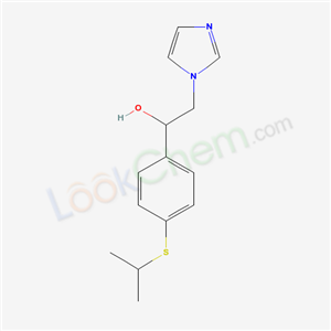 Click to see the large picture