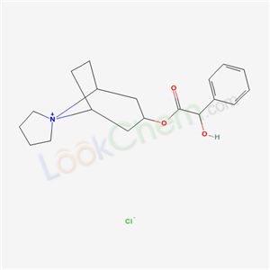 Click to see the large picture