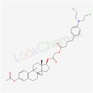 Click to see the large picture