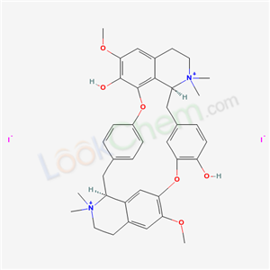 Click to see the large picture