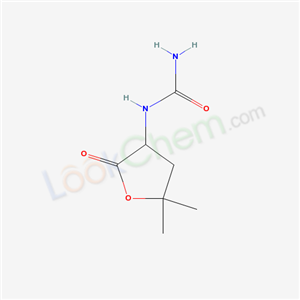 Click to see the large picture