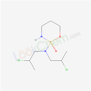 Click to see the large picture