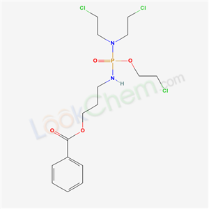 Click to see the large picture