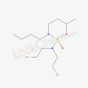 Click to see the large picture