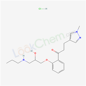 Click to see the large picture