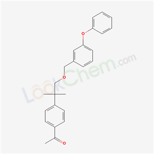 Click to see the large picture