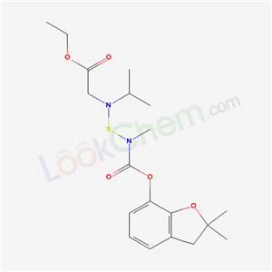 Click to see the large picture