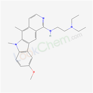 Click to see the large picture