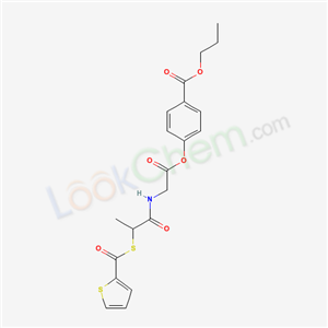 Click to see the large picture