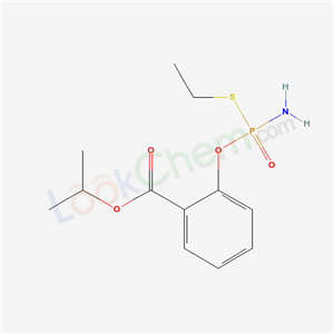 Click to see the large picture