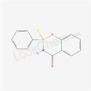 Click to see the large picture