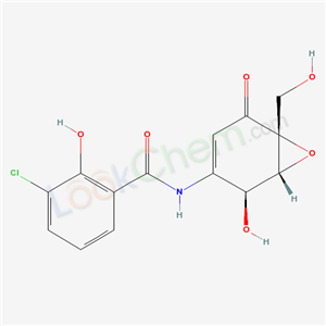 Click to see the large picture