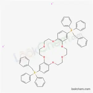 Molecular Structure of 134580-17-9 (6,7,9,10,17,18,20,21-octahydrodibenzo[b,k][1,4,7,10,13,16]hexaoxacyclooctadecine-2,13-diylbis[benzyl(diphenyl)phosphonium] diiodide)