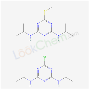 Click to see the large picture