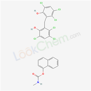 Click to see the large picture