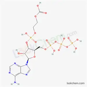 포스 포 글리세로 일 -ATP