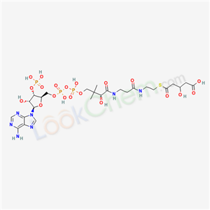 3-Hydroxyglutaryl-coa