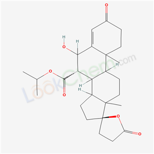 Click to see the large picture