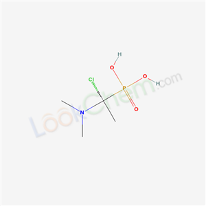 Click to see the large picture