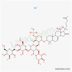 쿠쿠마리오사이드