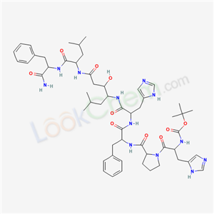 Click to see the large picture