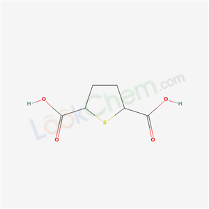 thiolane-2,5-dicarboxylic acid cas  17773-22-7