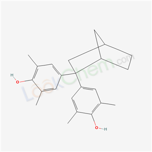 Click to see the large picture