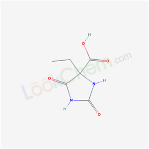 Click to see the large picture