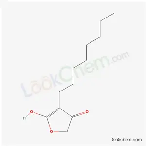 4- 하이드 록시 -3- 옥틸 -2 (5H)-푸라 논