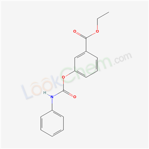 Click to see the large picture