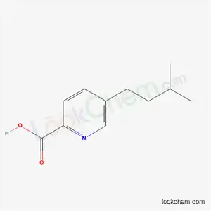 Molecular Structure of 49751-50-0 (5-Isopentylpyridine-2-carboxylic acid)