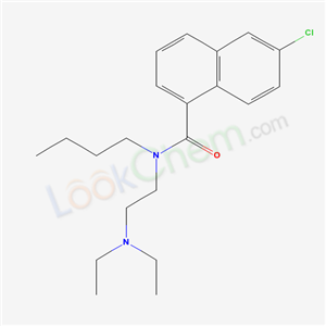 Click to see the large picture