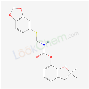 Click to see the large picture