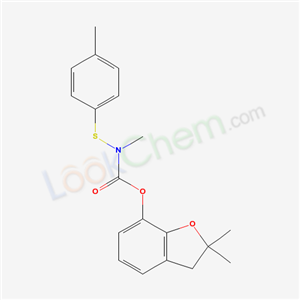 Click to see the large picture