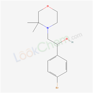 Click to see the large picture