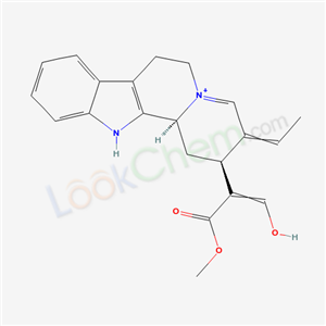 Click to see the large picture