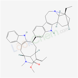 Click to see the large picture