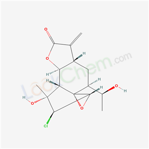 Click to see the large picture