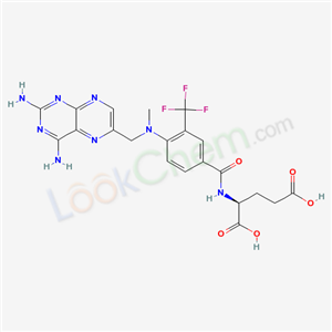 Click to see the large picture