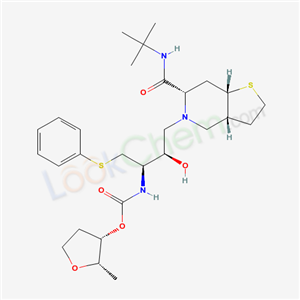 Click to see the large picture