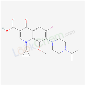 Click to see the large picture