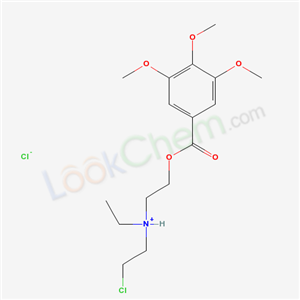 Click to see the large picture