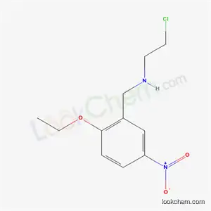 Molecular Structure of 56538-02-4 (N-(2-Chloroethyl)-2-ethoxy-5-nitrobenzylamine)