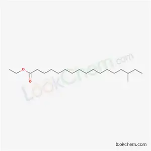 Molecular Structure of 57274-46-1 (15-Methylheptadecanoic acid ethyl ester)