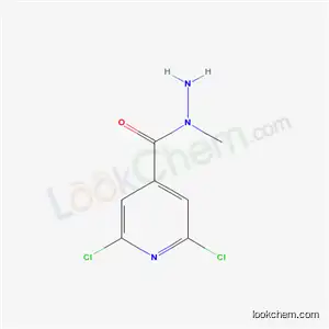 Molecular Structure of 57803-52-8 (N-Methyl-2,6-dichloroisonicotinic hydrazide)
